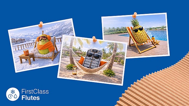 pinned up photos on a blue background